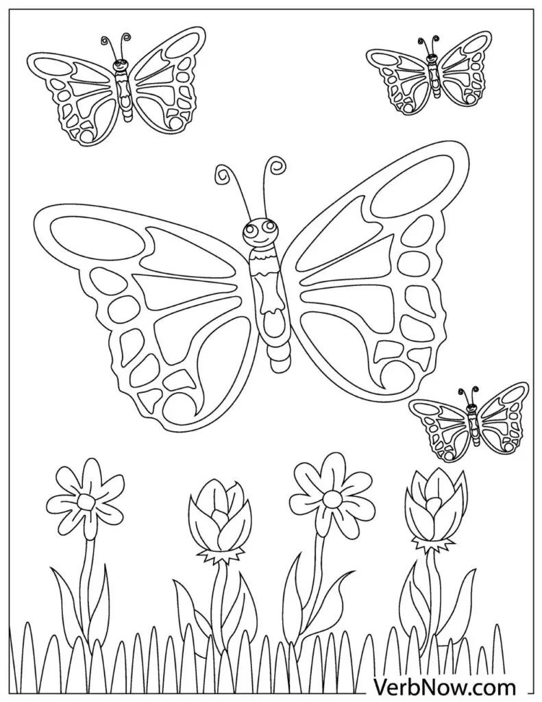 30 Free Butterfly Coloring Pages for Preschoolers Printable 14