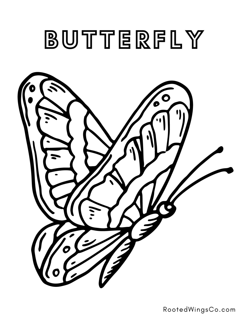 30 Free Butterfly Coloring Pages for Preschoolers Printable 22