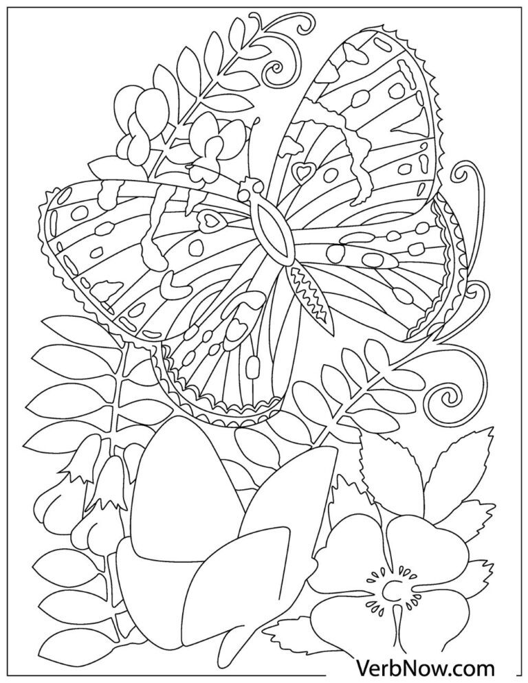 30 Free Butterfly Coloring Pages for Preschoolers Printable 33