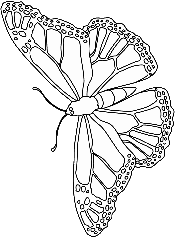 30 Free Butterfly Coloring Pages for Preschoolers Printable 34