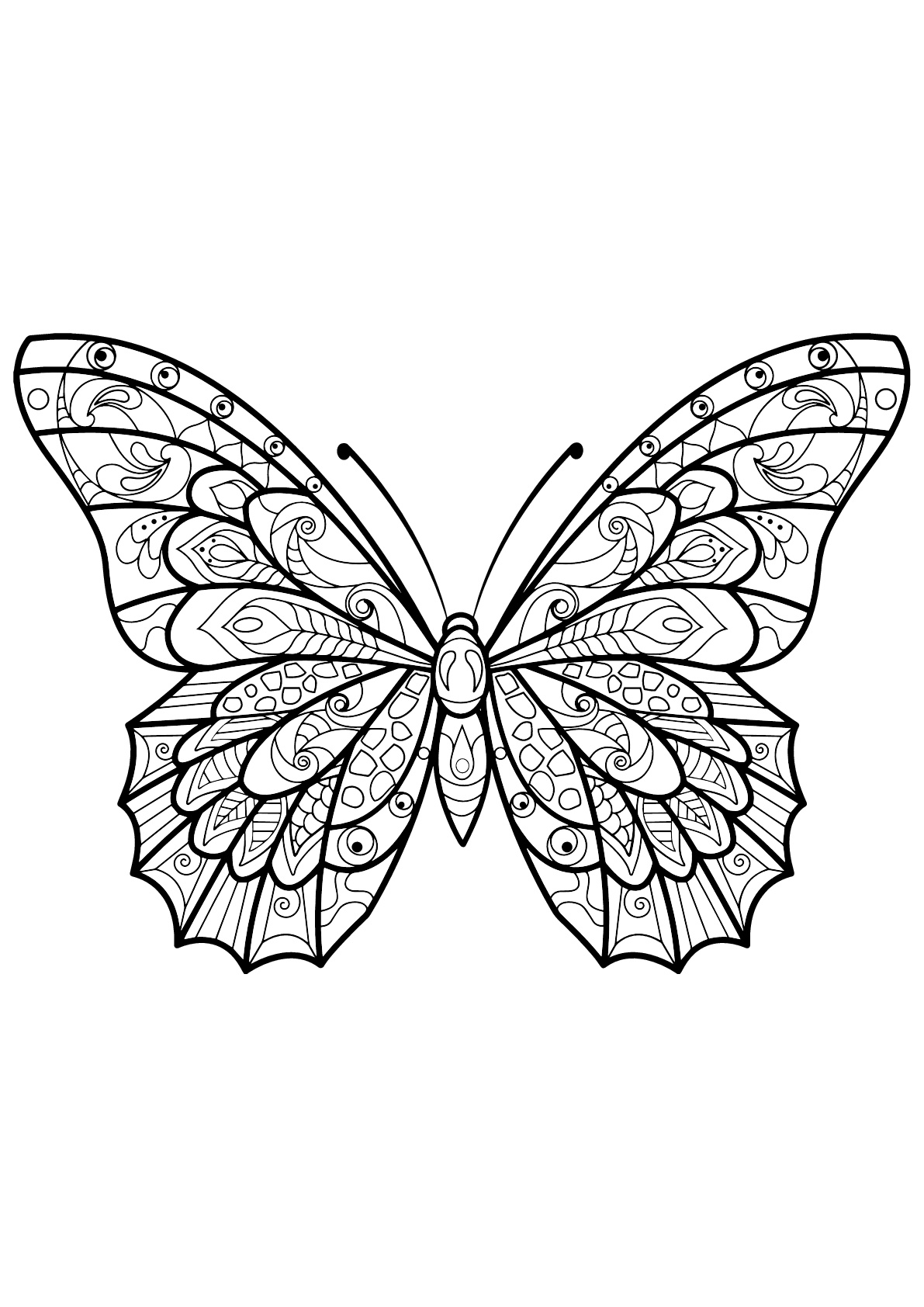 30 Free Butterfly Coloring Pages for Preschoolers Printable 4