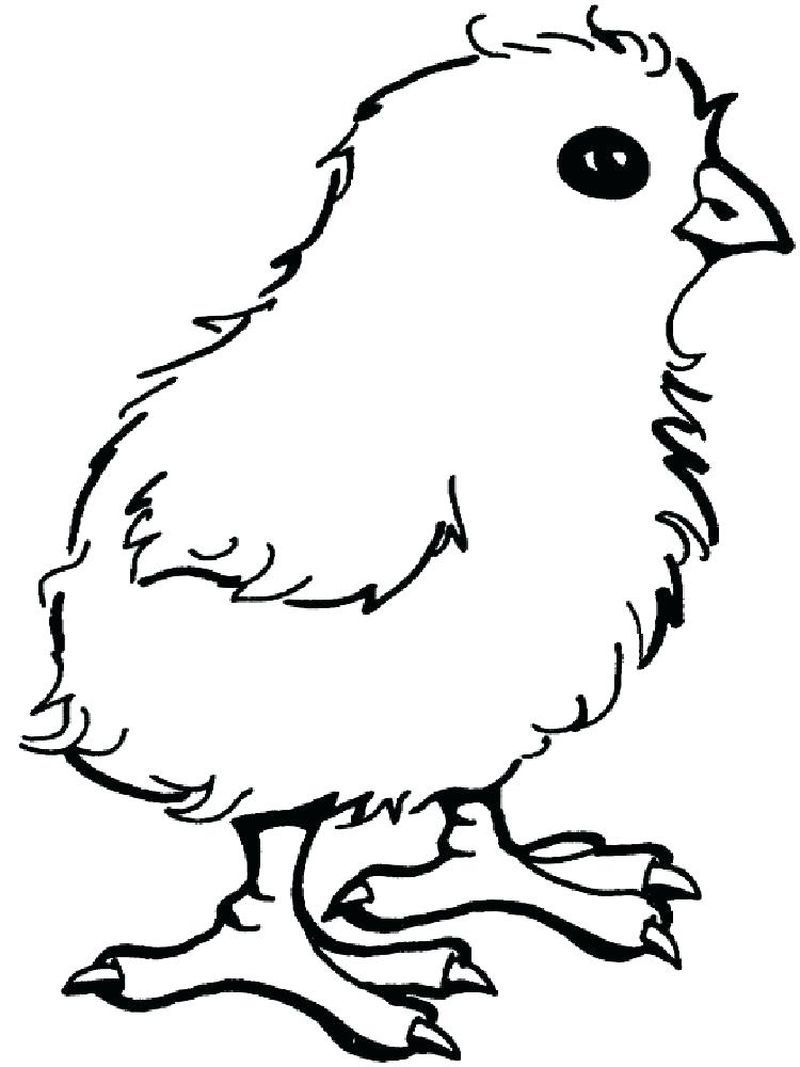 30 Fun Chicken Nugget Coloring Pages Printable 19