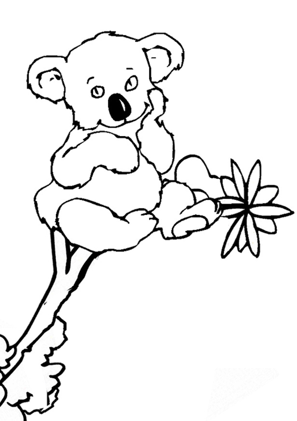 31 Adorable Koalas Coloring Pages Printable 10