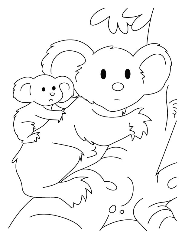 31 Adorable Koalas Coloring Pages Printable 13