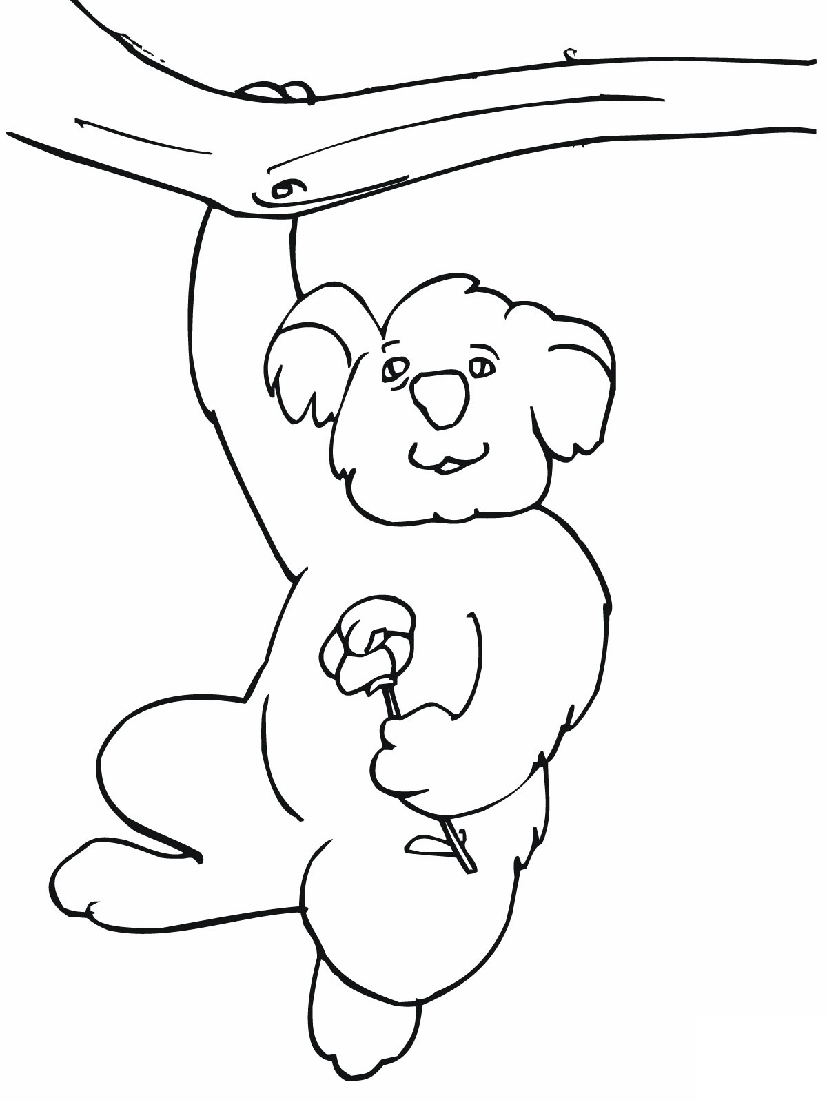 31 Adorable Koalas Coloring Pages Printable 14