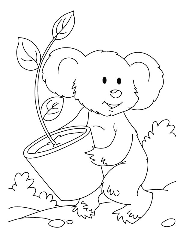 31 Adorable Koalas Coloring Pages Printable 19