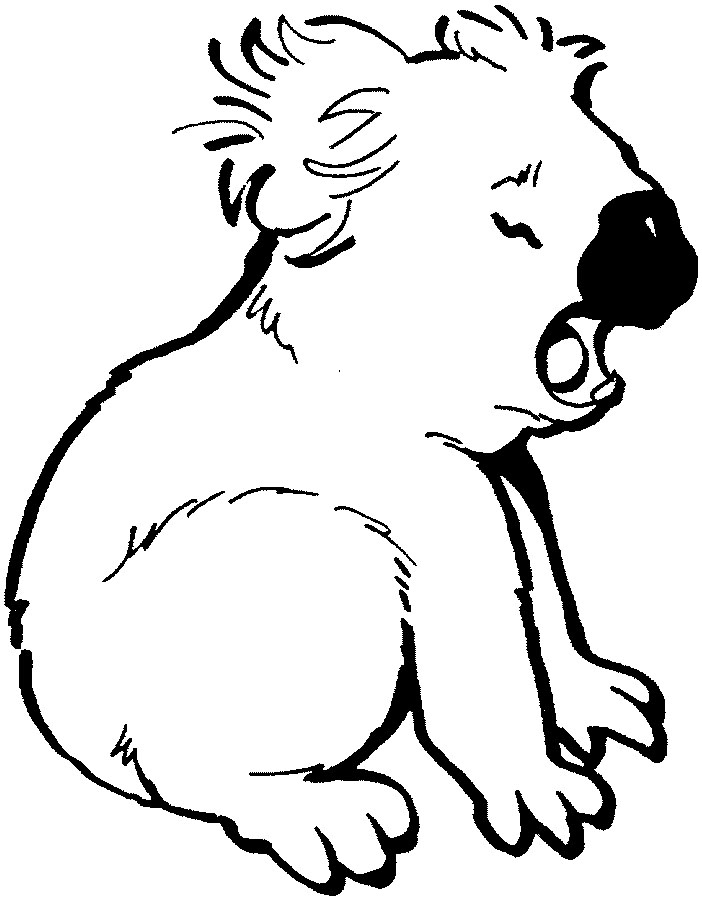 31 Adorable Koalas Coloring Pages Printable 2