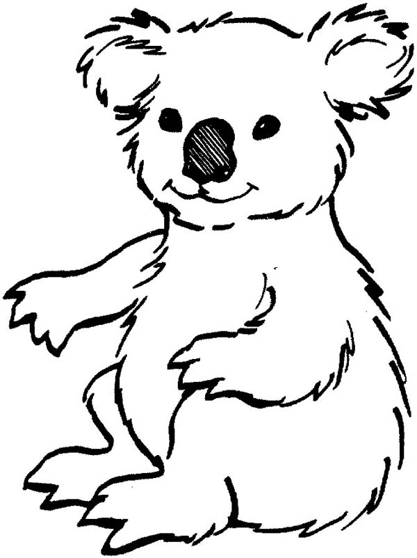 31 Adorable Koalas Coloring Pages Printable 21