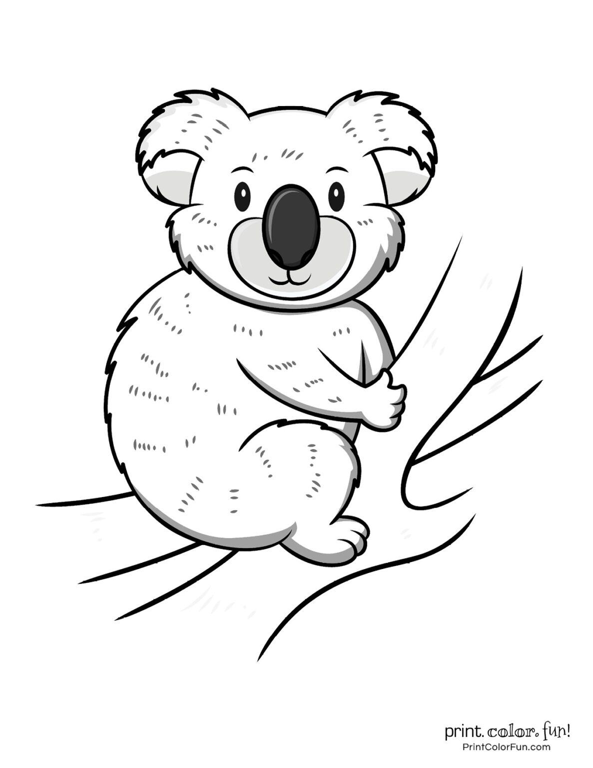 31 Adorable Koalas Coloring Pages Printable 26