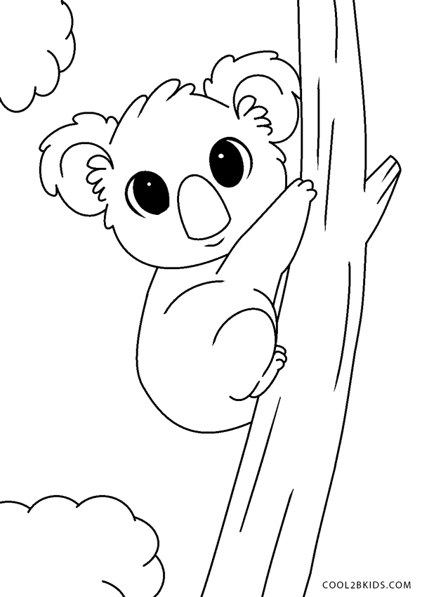 31 Adorable Koalas Coloring Pages Printable 30