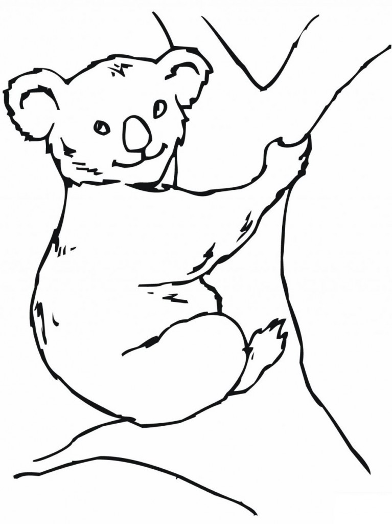 31 Adorable Koalas Coloring Pages Printable 32