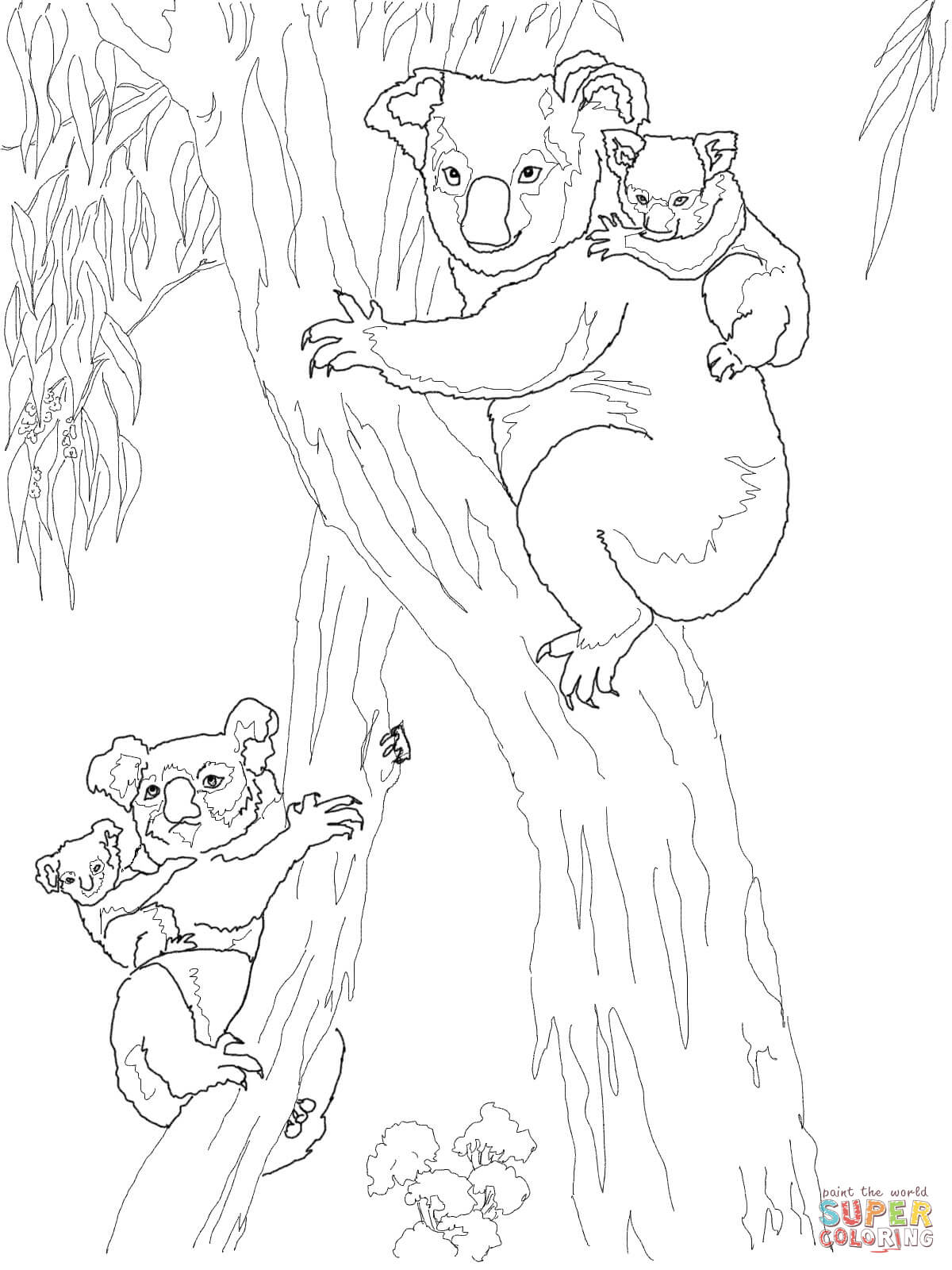 31 Adorable Koalas Coloring Pages Printable 5