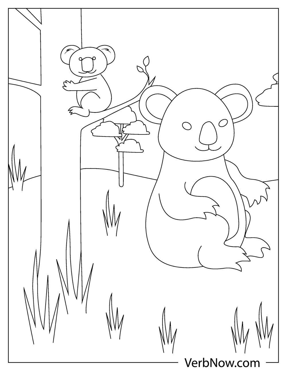 31 Adorable Koalas Coloring Pages Printable 8