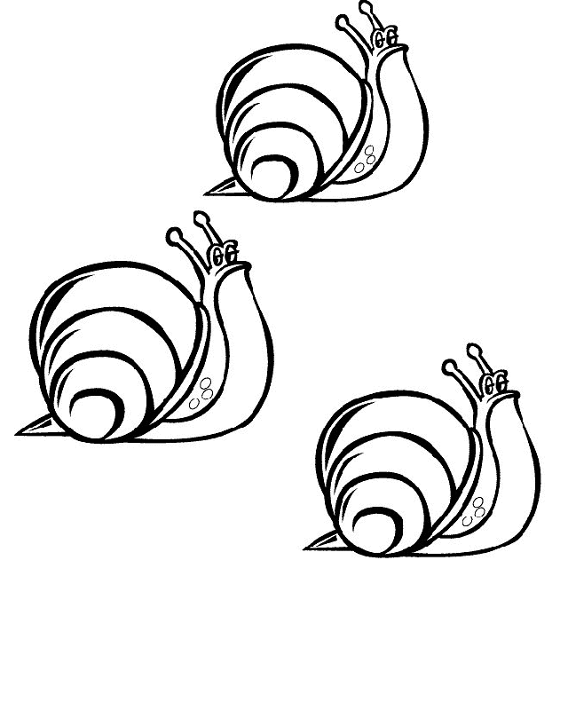 31 Charming Snail Coloring Pages Printable 10