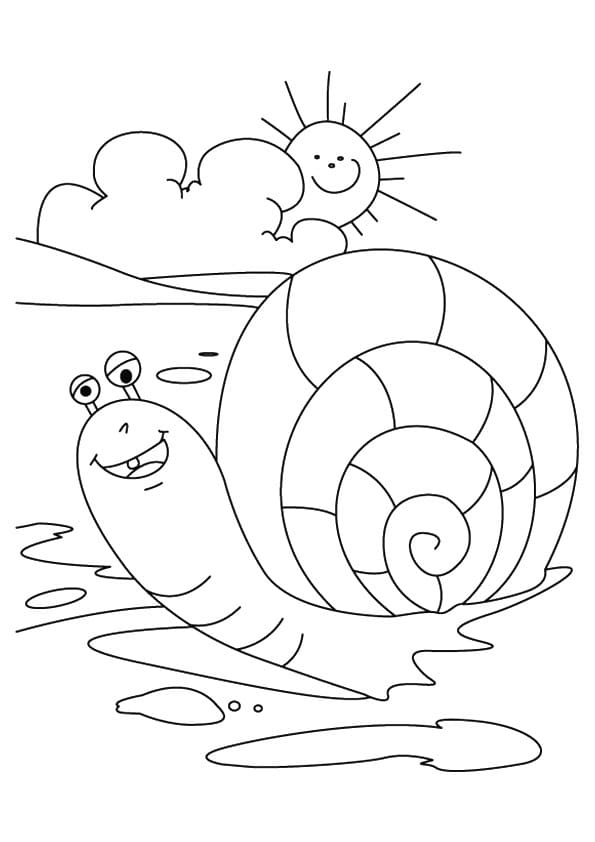 31 Charming Snail Coloring Pages Printable 19