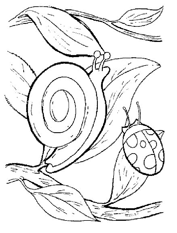 31 Charming Snail Coloring Pages Printable 20