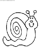 31 Charming Snail Coloring Pages Printable 24