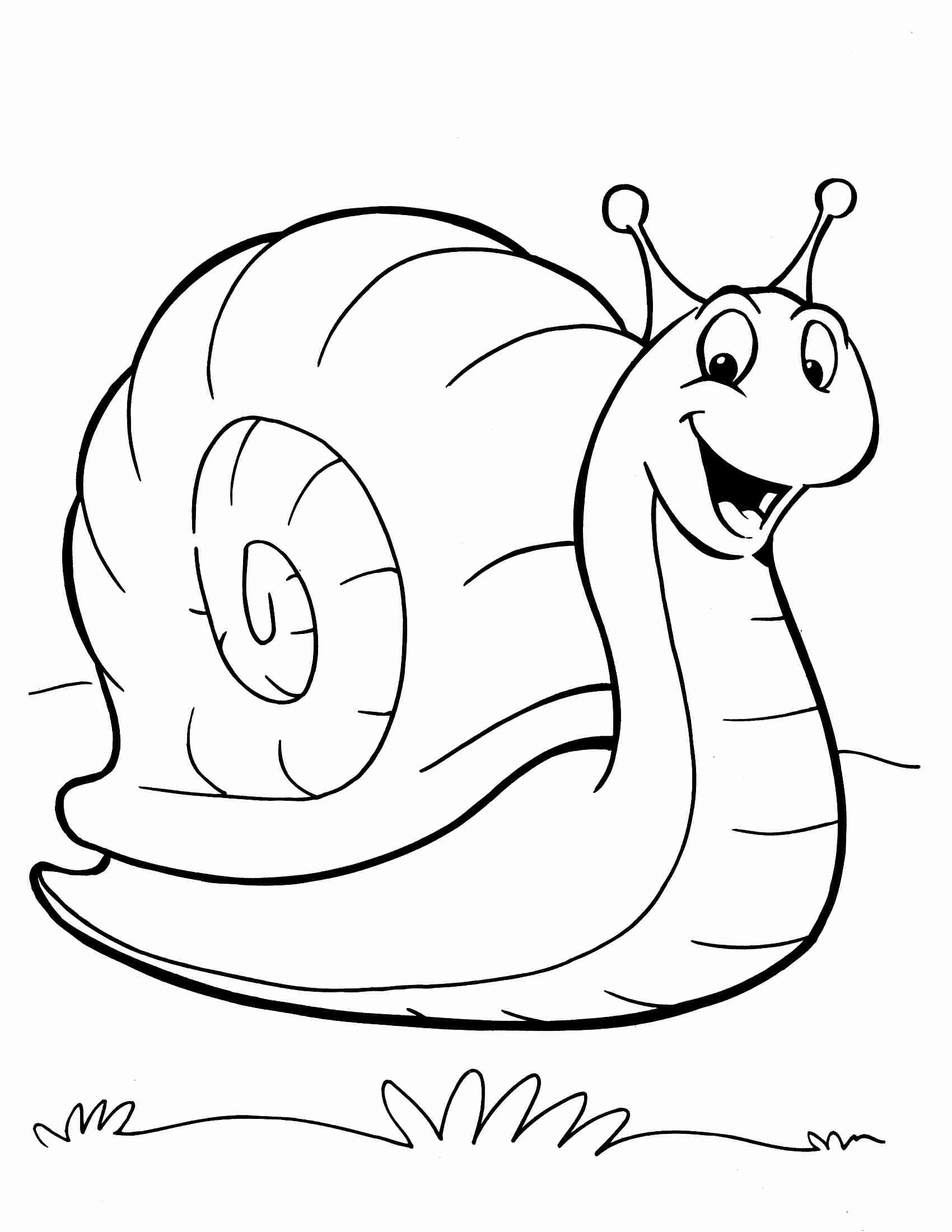 31 Charming Snail Coloring Pages Printable 25