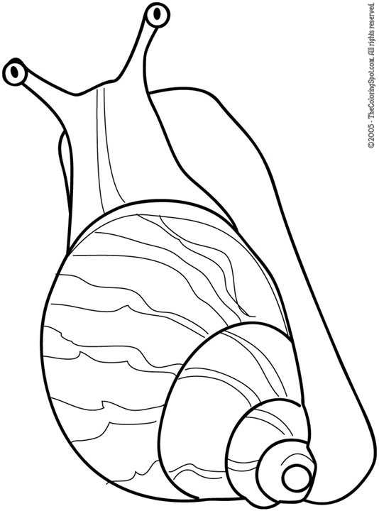 31 Charming Snail Coloring Pages Printable 34