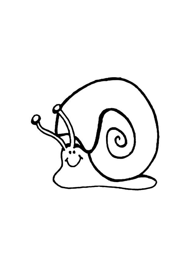 31 Charming Snail Coloring Pages Printable 35