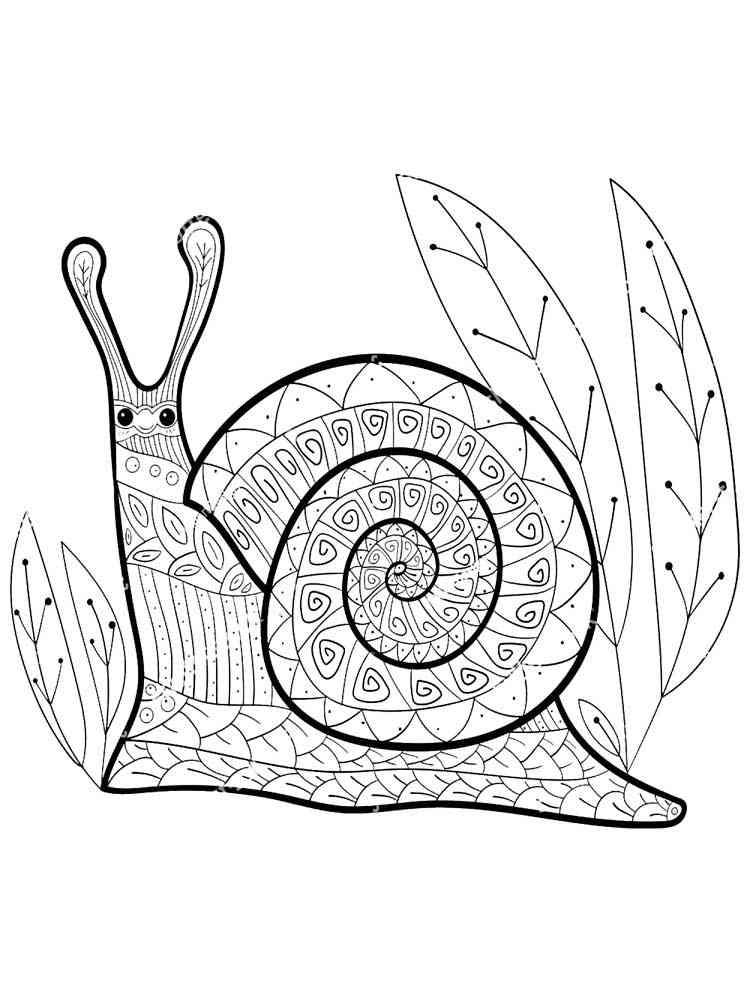 31 Charming Snail Coloring Pages Printable 4