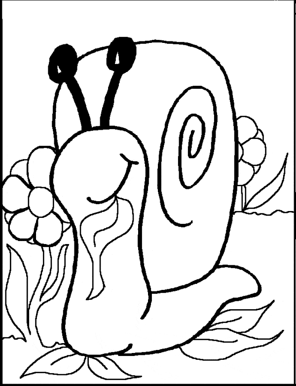 31 Charming Snail Coloring Pages Printable 6