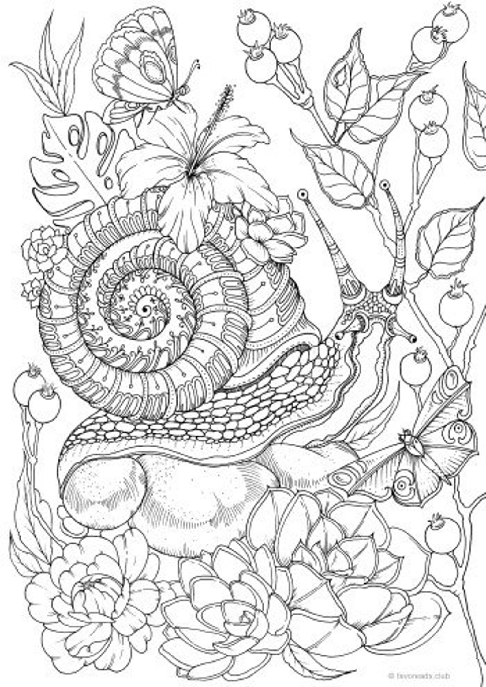 31 Charming Snail Coloring Pages Printable 7