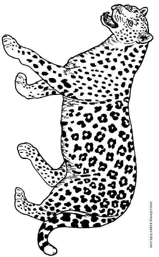 31 Cute Jaguar Coloring Pages Printable 11