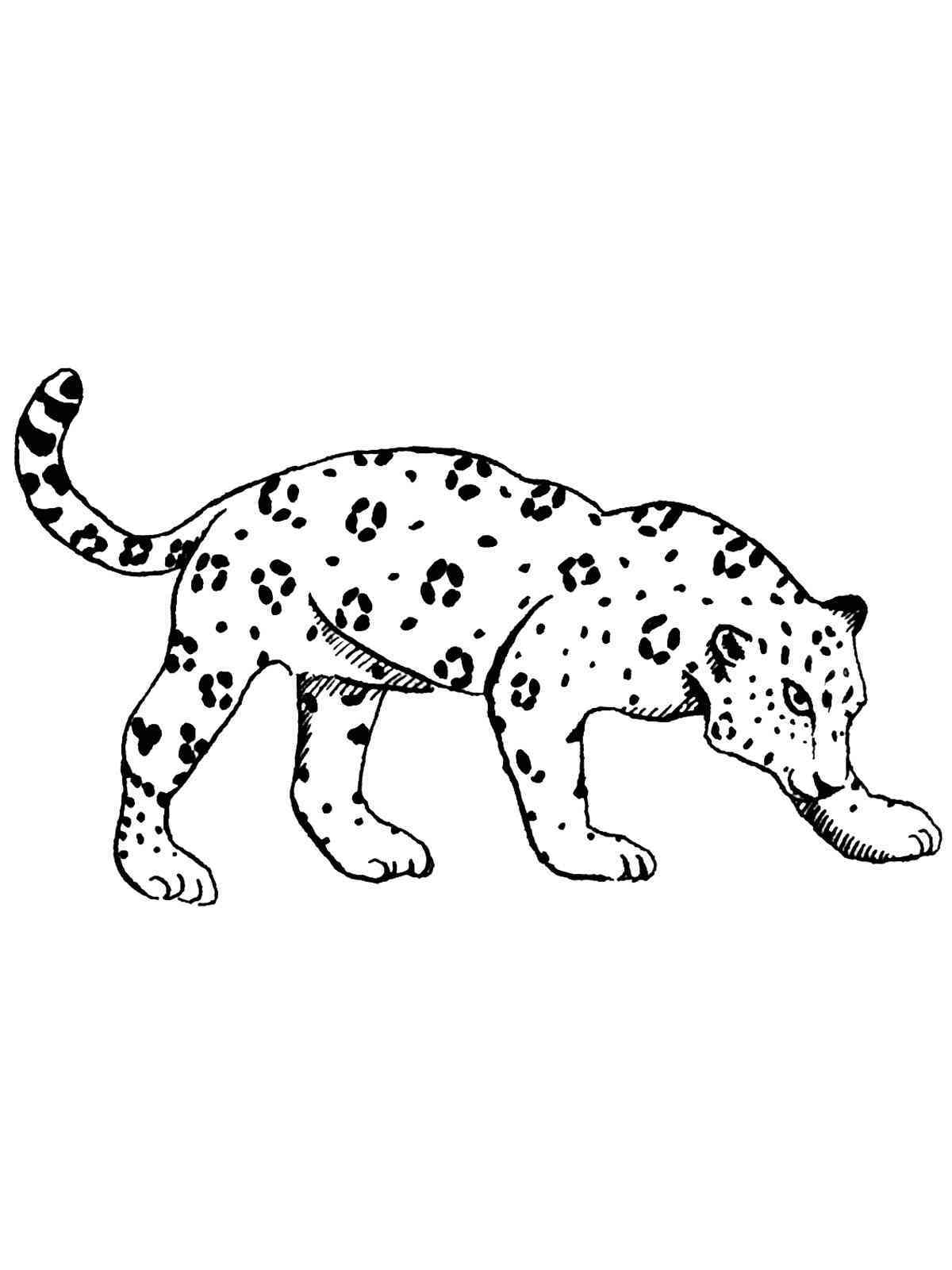 31 Cute Jaguar Coloring Pages Printable 21