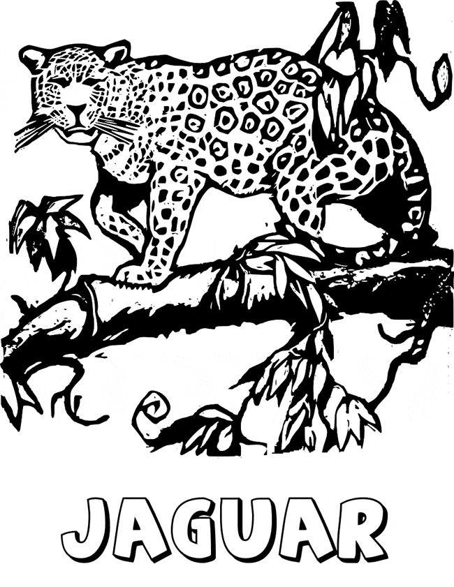 31 Cute Jaguar Coloring Pages Printable 33