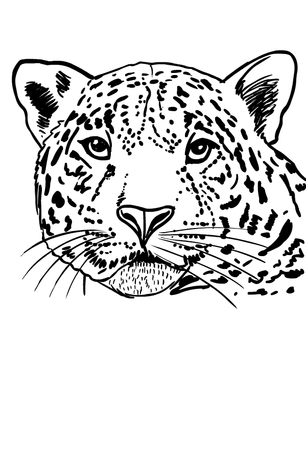 31 Cute Jaguar Coloring Pages Printable 34