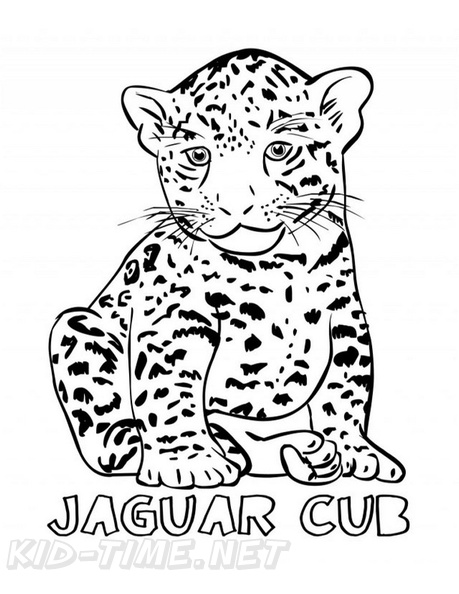 31 Cute Jaguar Coloring Pages Printable 9