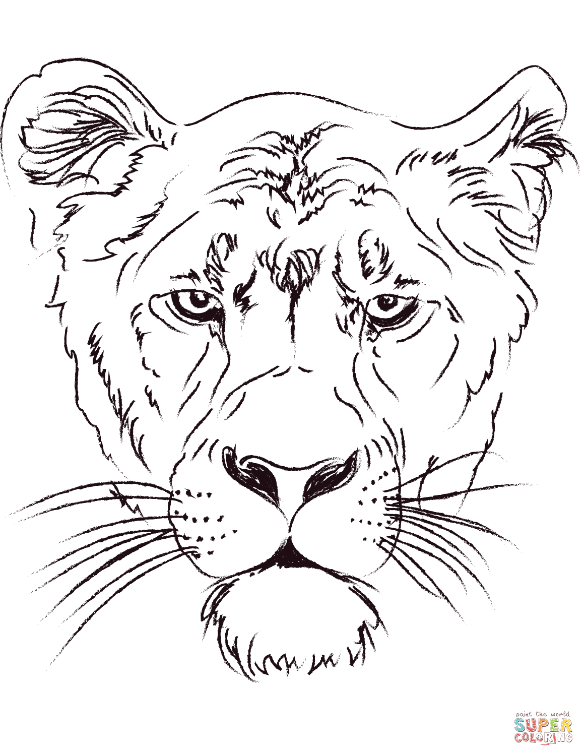 31 Graceful Lioness Coloring Pages Printable 1