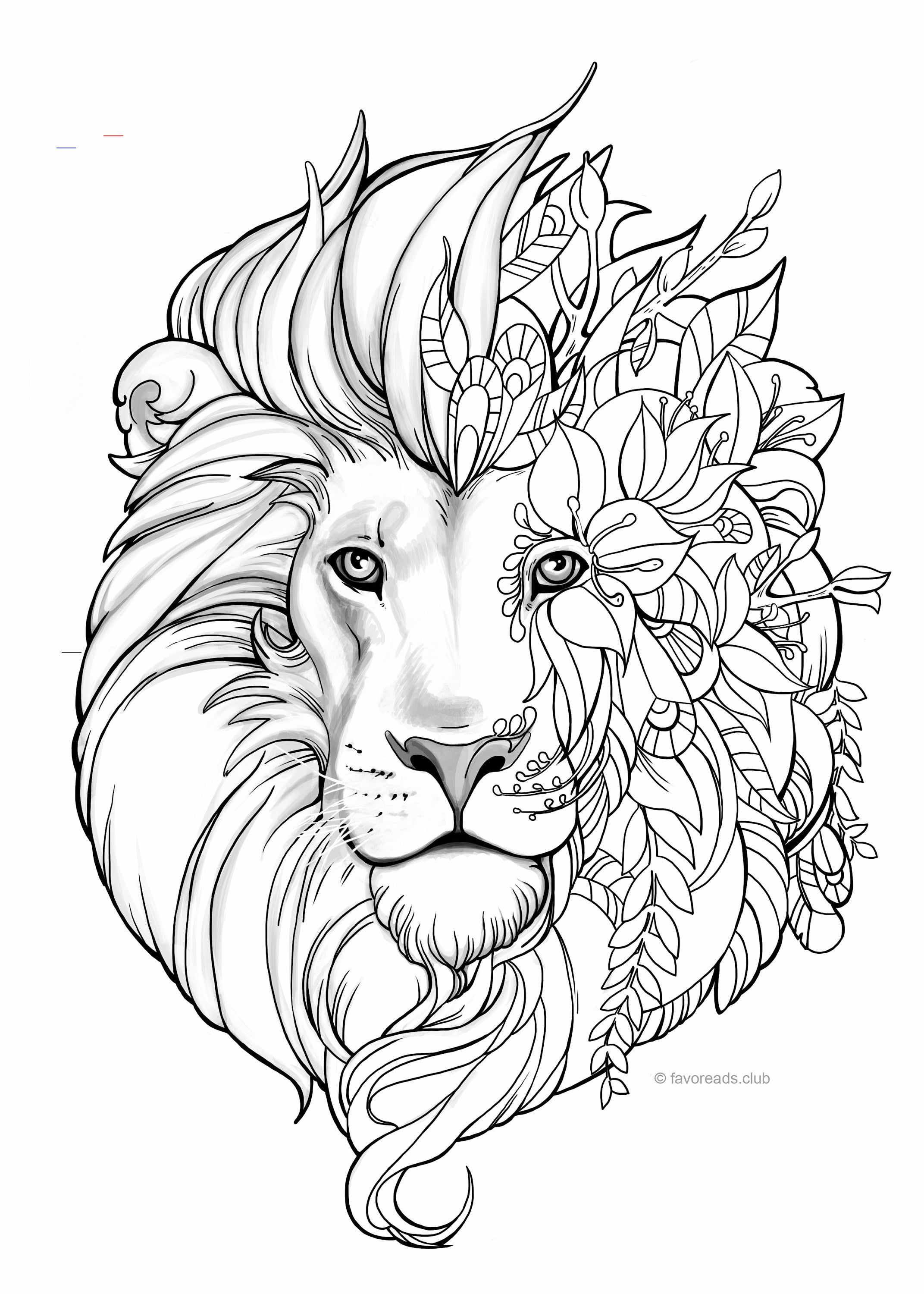 31 Graceful Lioness Coloring Pages Printable 10