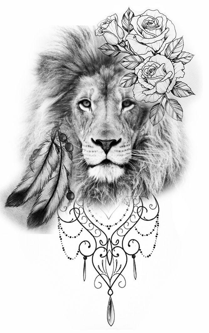 31 Graceful Lioness Coloring Pages Printable 20