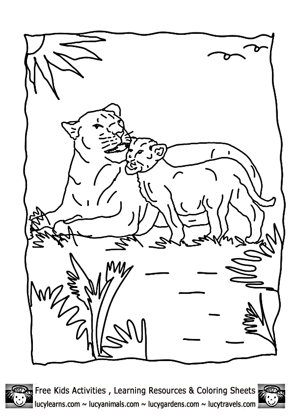 31 Graceful Lioness Coloring Pages Printable 3