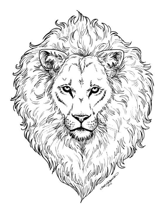 31 Graceful Lioness Coloring Pages Printable 30