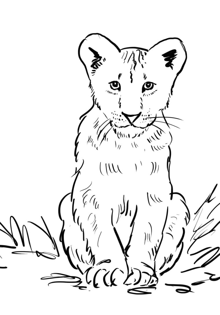 31 Graceful Lioness Coloring Pages Printable 32