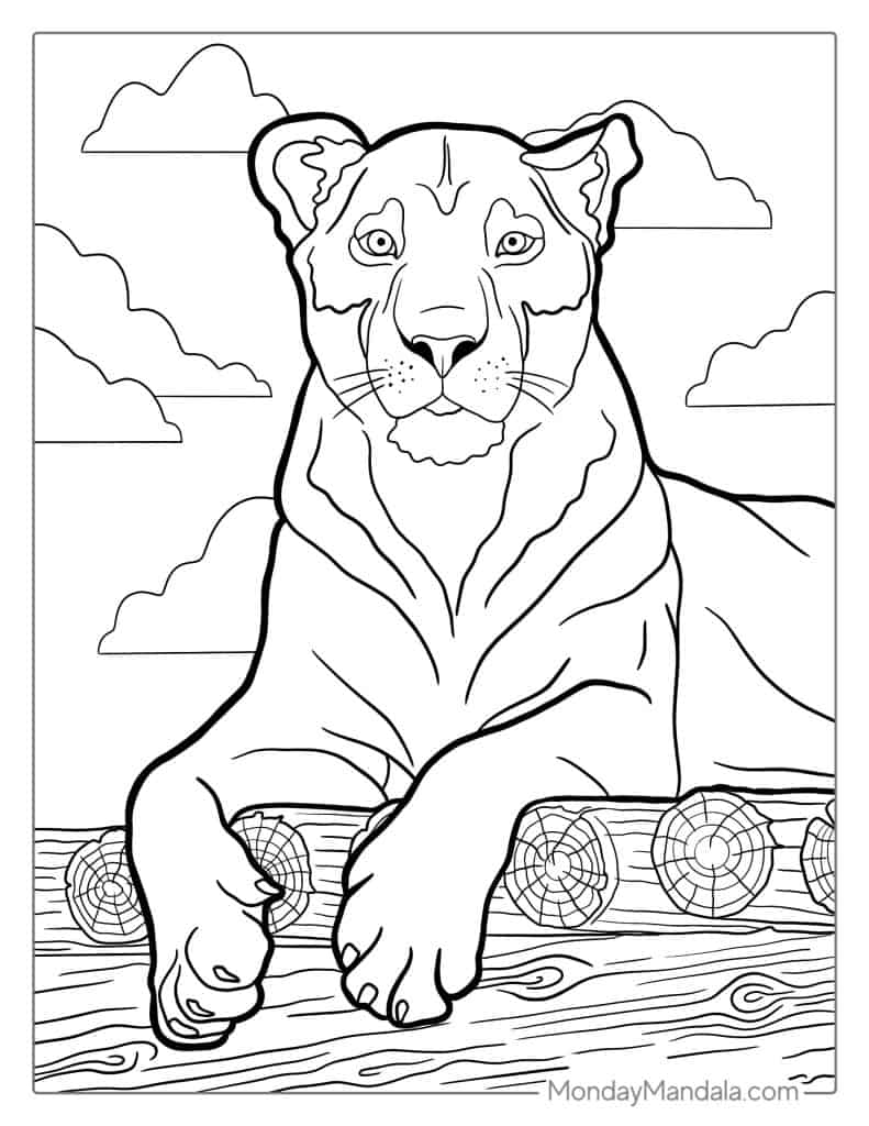 31 Graceful Lioness Coloring Pages Printable 33