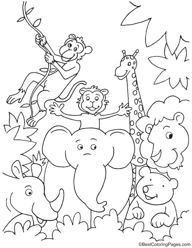 32 Cute Zoo Animal Coloring Pages Printable 20