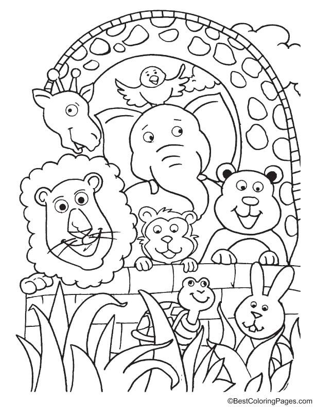 32 Cute Zoo Animal Coloring Pages Printable 27