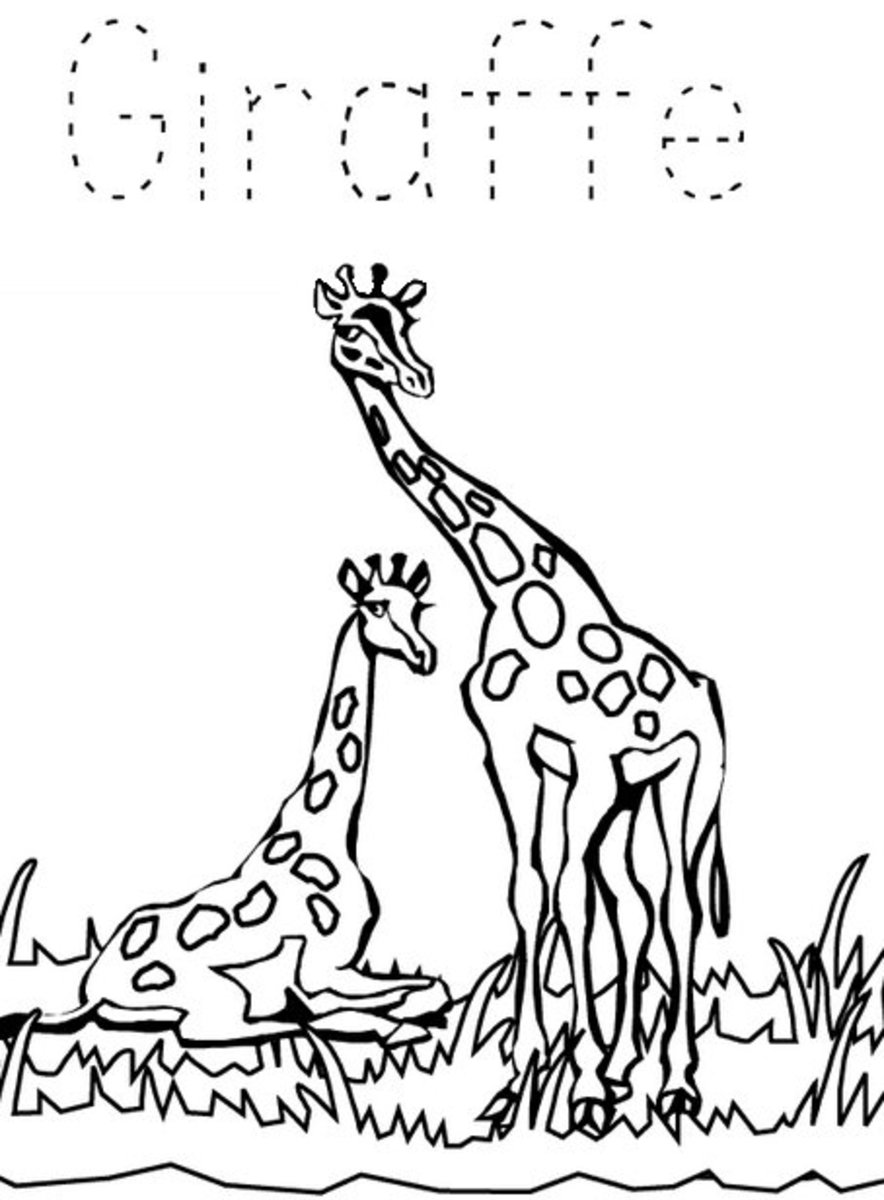 32 Cute Zoo Animal Coloring Pages Printable 5