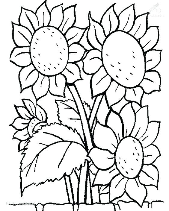 32 May Coloring Pages Printable 18