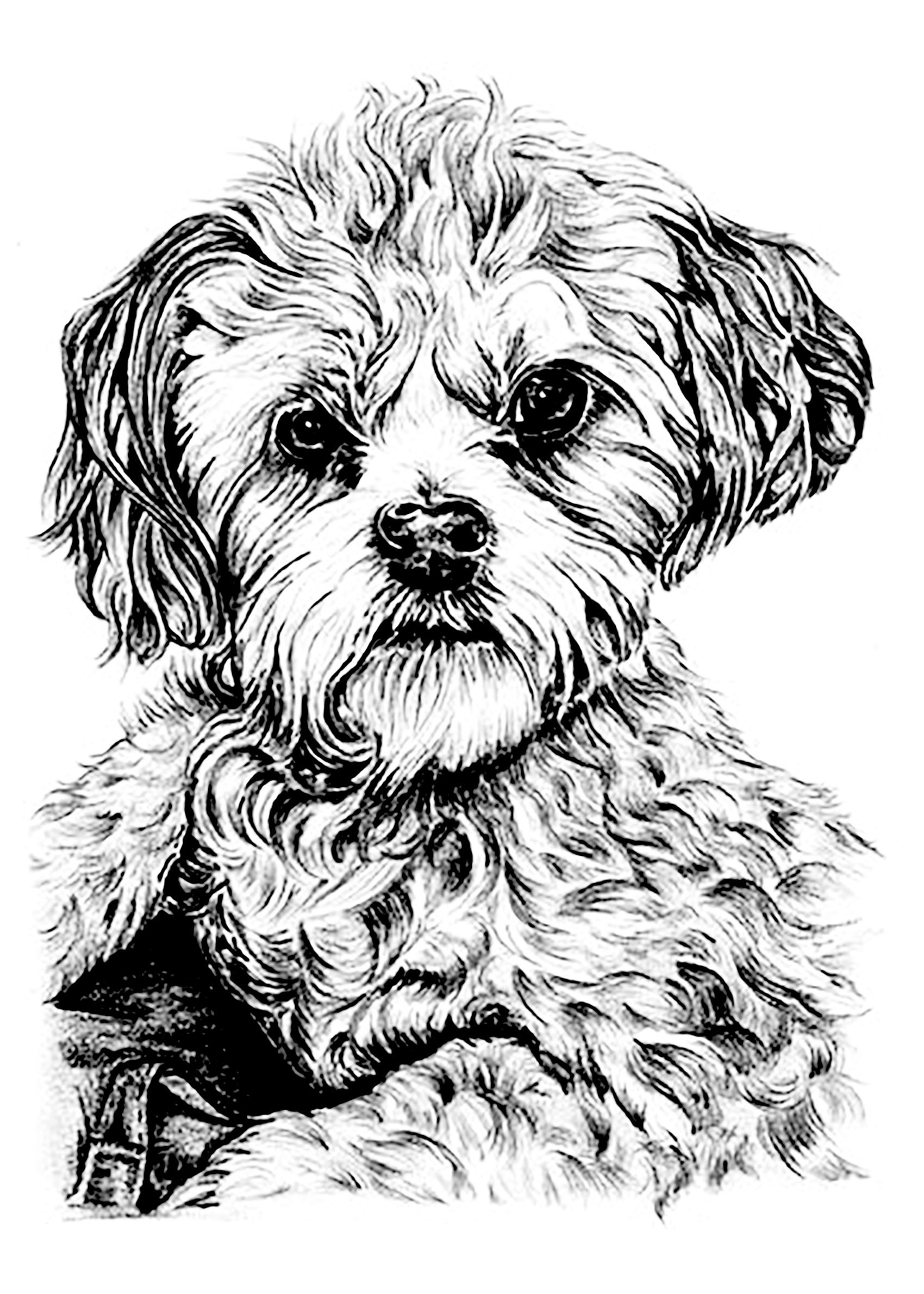 33 Adorable Dog Coloring Pages for Adults Printable 2