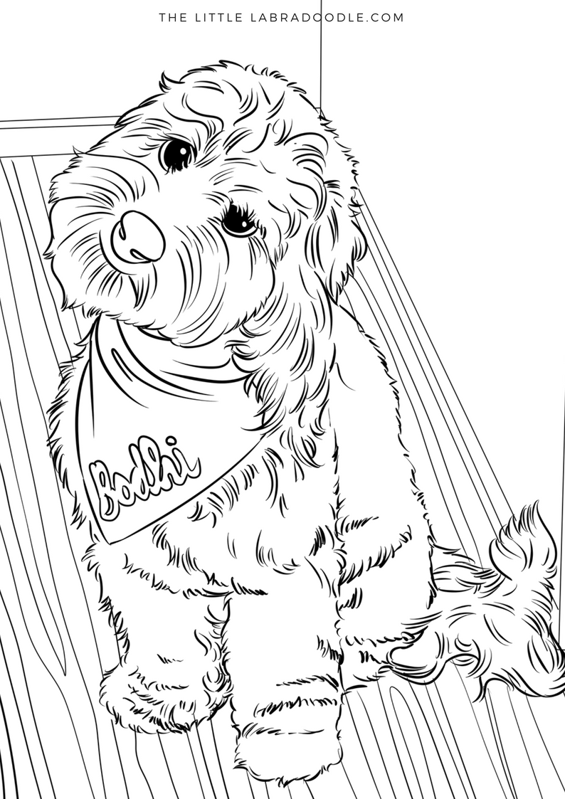 33 Adorable Dog Coloring Pages for Adults Printable 20