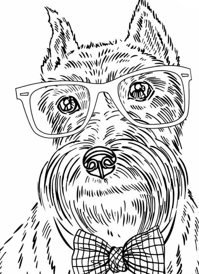 33 Adorable Dog Coloring Pages for Adults Printable 3