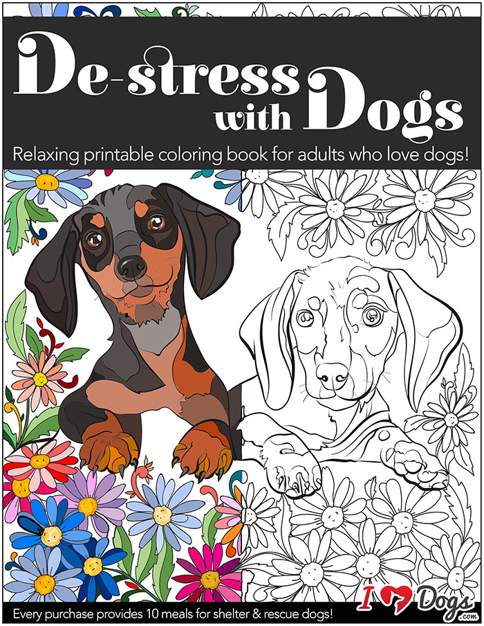 33 Adorable Dog Coloring Pages for Adults Printable 8