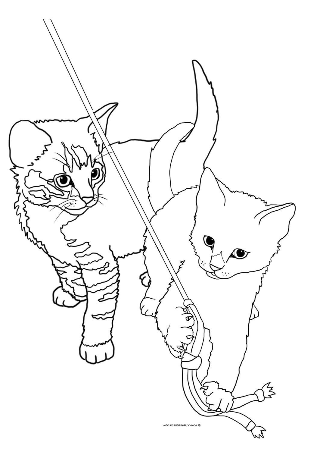 33 Adorable Little Kittens Coloring Pages Printable 35