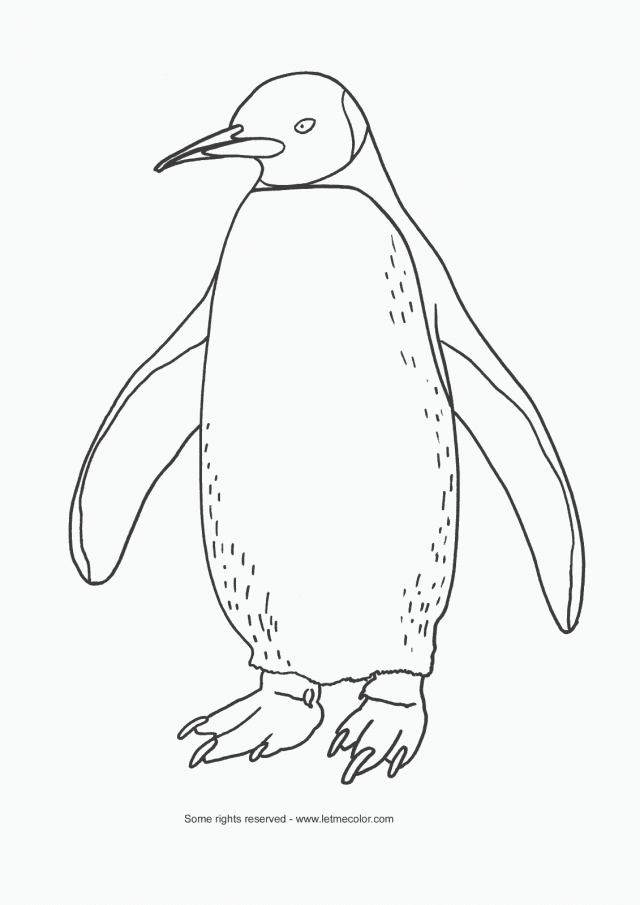 33 Adorable Penguin Coloring Pages Printable 19