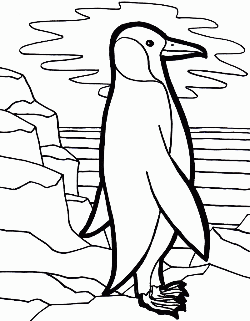 33 Adorable Penguin Coloring Pages Printable 33